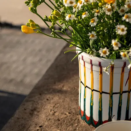 Trullo Saraceno 别墅 奥斯图尼